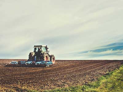 seguros-agropecuarios