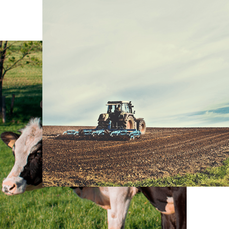 seguros-agropecuarios